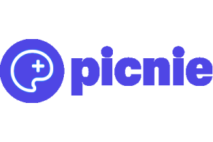 Picnie Price in Bangladesh